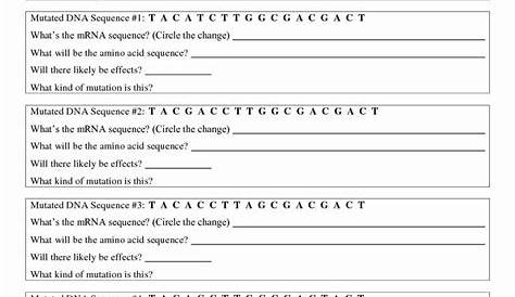 Genetic Mutation Worksheet Answer Key | Worksheet for Education
