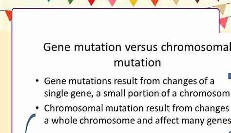 Gene And Chromosome Mutation Worksheet