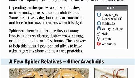 Spiders of Arkansas – Quick Reference Publishing
