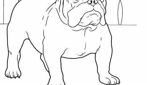 French Bulldog Line Drawing at GetDrawings | Free download