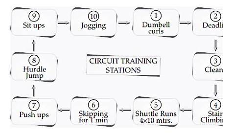 What is circuit training ? Draw a diagram of 10 stations to improve