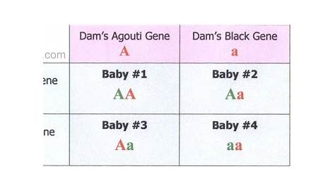 hair color gene chart