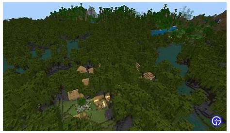 Best Mangrove Swamp Seeds In Minecraft 1.19 - Gamer Tweak
