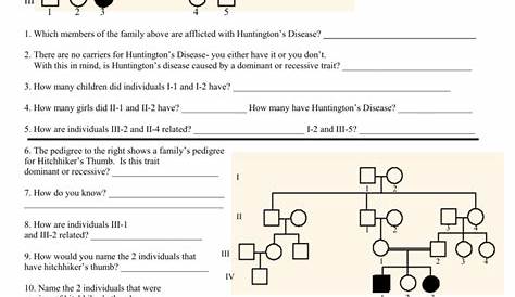 genetics pedigree worksheet with answers