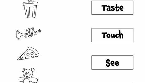 printable-5-senses-worksheet – Tim's Printables