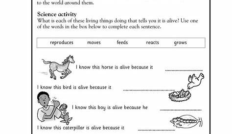 printable worksheets for 2nd grade science
