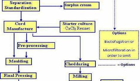 Cheese Production Flow Diagram. Adopted from : Dairy Processing