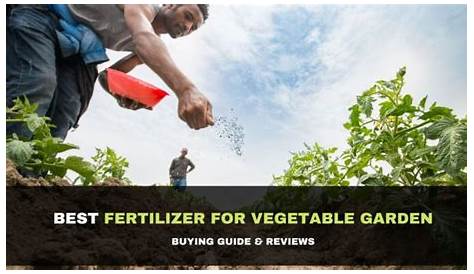 vegetable garden fertilizer recommendations