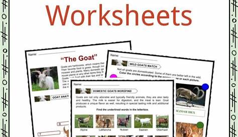 Goat Facts, Worksheets, Diet, Behavior & Uses Information for Kids