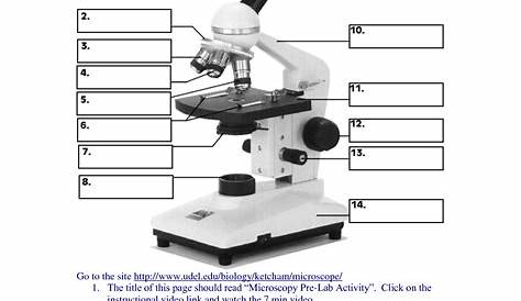 parts of a microscope worksheets answers