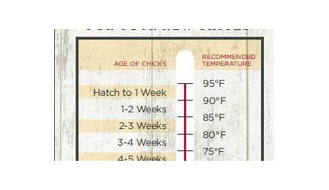 chicken heat lamp chart