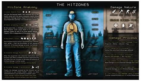 Hit Zones: A Guide to Damage in DayZ (Pt.1) : r/dayz