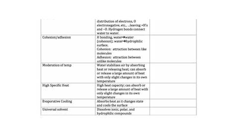 AP Biology Water Properties Review Worksheet and Essay | TpT