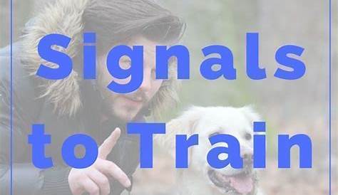 8 Hand Signals to Train your Dog | Dog Obedience Training | Dog