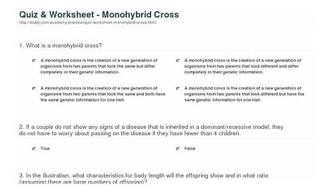 monohybrid cross worksheet doc