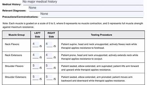 manual muscle testing pdf