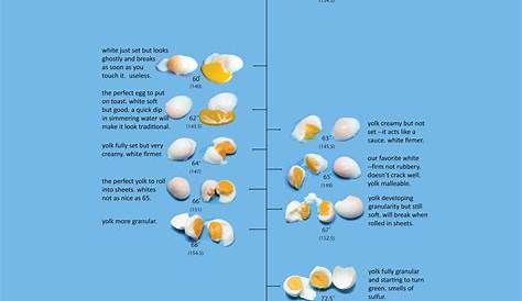 grades of eggs chart