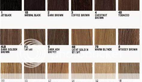 hair number color chart