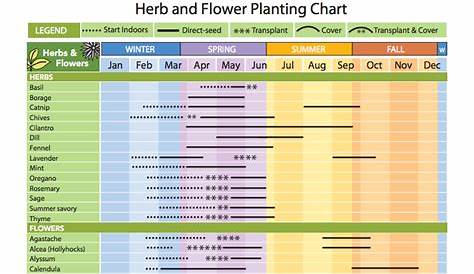 zone 8 planting chart