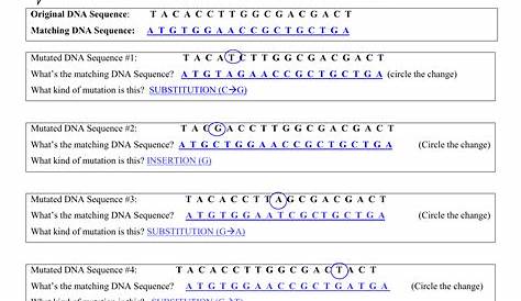 Mutation Answers Guertinscience — db-excel.com