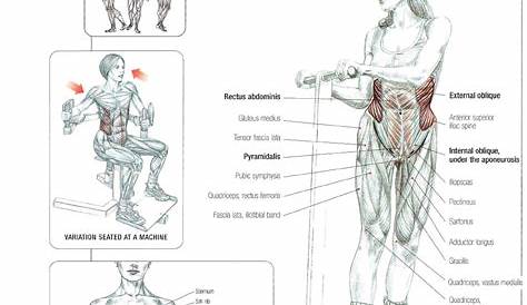 strength training anatomy 4th edition pdf