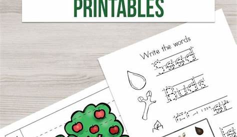 life cycle of an apple worksheets