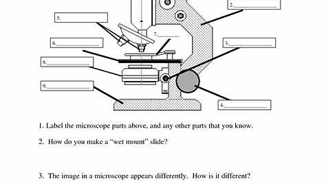 11 Best Images of Microscope Diagram Worksheet - Compound Light