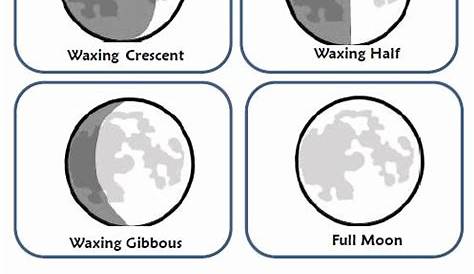 moon phases worksheet 3rd grade