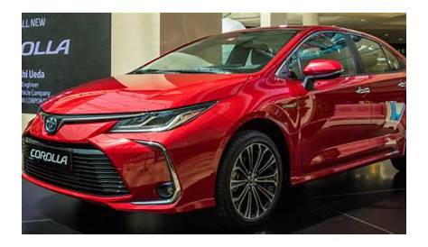 2024 Toyota Corolla Release Date | 2023 Toyota Cars Rumors