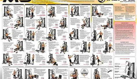 inspire fitness workout chart