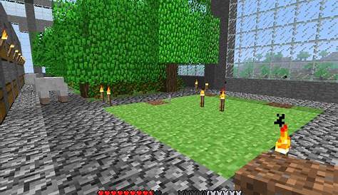 minecraft limit tree height