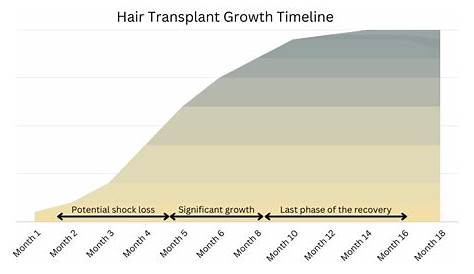 hair transplant growth chart