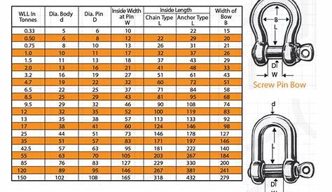 Grade S Safety Dee Shackle » The Lifting Company