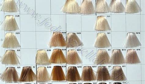 wella hair color chart blonde