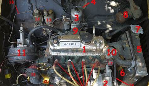Parts On A Hood Of A Car Diagram