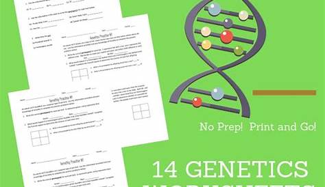 genetics basics worksheets answers