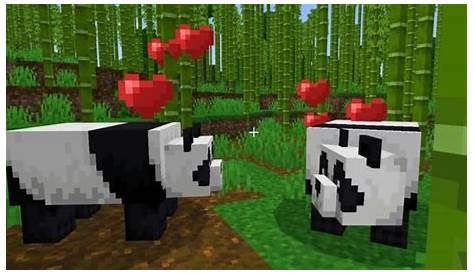 how to breed pandas in minecraft java
