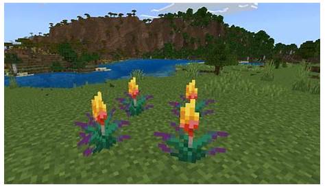 torch flower minecraft how to find