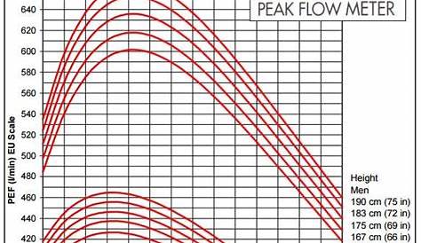 Peak Flow Diary | Asthma Peak Flow Meter Readings | Patient