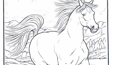 Horse Coloring Pages 2023: Best, Cool, Funny