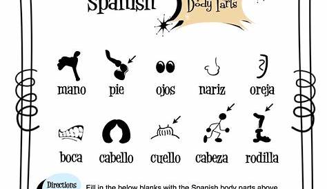 spanish body parts worksheet