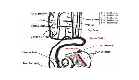 gm performance ls3 wiring harness diagram