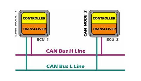 can bus network wiring