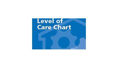 level of care chart