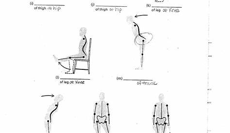 joints and movements worksheets