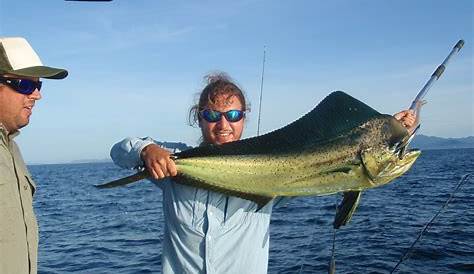 High Fishing Season in Costa Rica is starting! - Samara Local Fishing