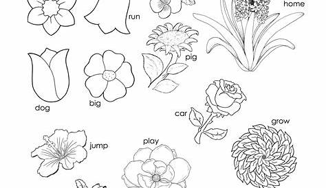 12 Best Images of Halloween Parts Of Speech Worksheets - Flower Parts