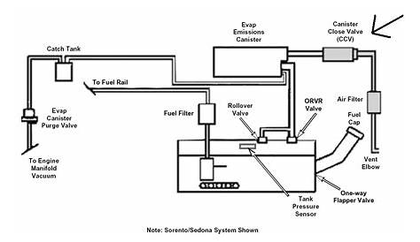 evap canister vent valve wiring diagram
