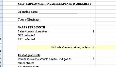 self employment income and expense worksheet