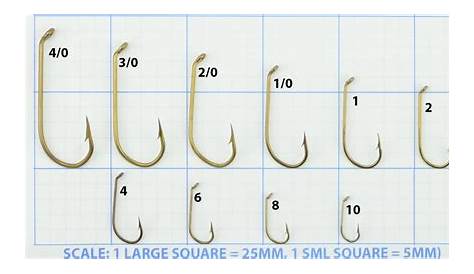 Printable Fishing Hook Size Chart - Printable Word Searches